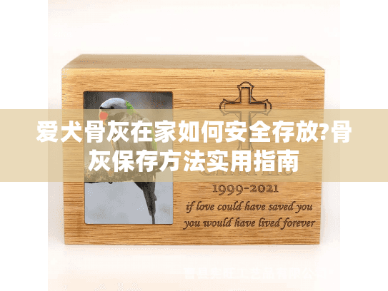 爱犬骨灰在家如何安全存放?骨灰保存方法实用指南