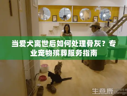 当爱犬离世后如何处理骨灰？专业宠物殡葬服务指南
