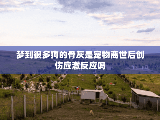梦到很多狗的骨灰是宠物离世后创伤应激反应吗