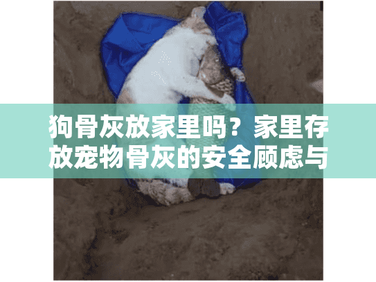 狗骨灰放家里吗？家里存放宠物骨灰的安全顾虑与情感选择