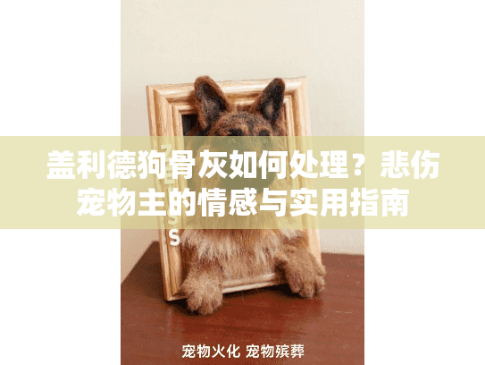 盖利德狗骨灰如何处理?悲伤宠物主的情感与实用指南 盖利德狗骨灰如何处理?悲伤宠物主的情感与实用指南