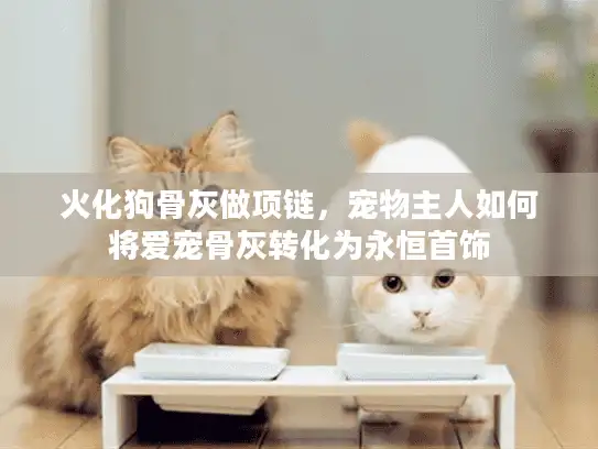 火化狗骨灰做项链，宠物主人如何将爱宠骨灰转化为永恒首饰