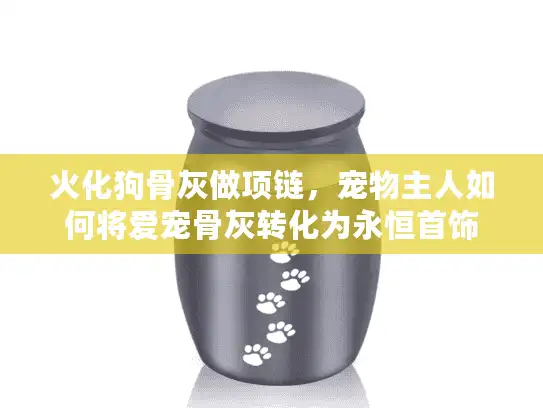 火化狗骨灰做项链，宠物主人如何将爱宠骨灰转化为永恒首饰