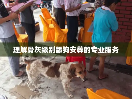 理解骨灰级别舔狗安葬的专业服务 理解骨灰级别舔狗安葬的专业服务