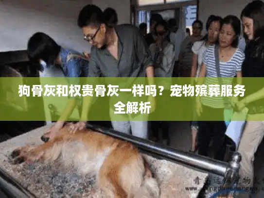 狗骨灰和权贵骨灰一样吗?宠物殡葬服务全解析 狗骨灰和权贵骨灰一样吗?宠物殡葬服务全解析