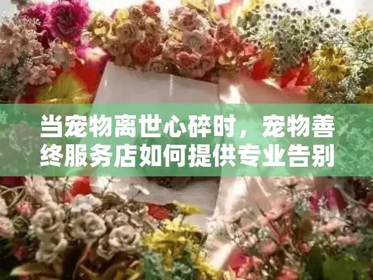 当宠物离世心碎时，宠物善终服务店如何提供专业告别方案？