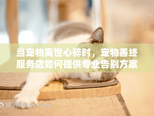 当宠物离世心碎时，宠物善终服务店如何提供专业告别方案？