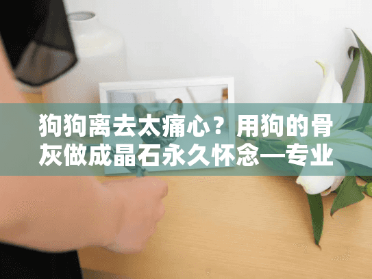 狗狗离去太痛心？用狗的骨灰做成晶石永久怀念—专业服务指南