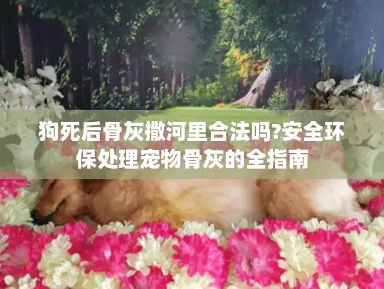 狗死后骨灰撒河里合法吗?安全环保处理宠物骨灰的全指南