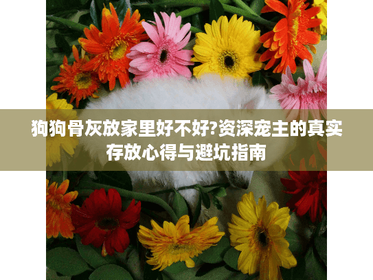 狗狗骨灰放家里好不好?资深宠主的真实存放心得与避坑指南