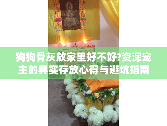 狗狗骨灰放家里好不好?资深宠主的真实存放心得与避坑指南