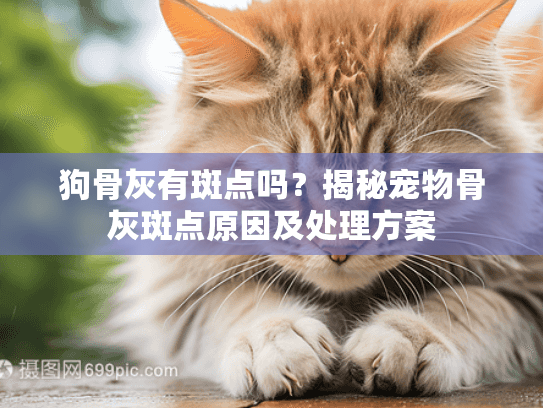 狗骨灰有斑点吗？揭秘宠物骨灰斑点原因及处理方案