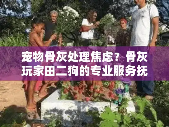 宠物骨灰处理焦虑？骨灰玩家田二狗的专业服务抚慰您的心痛