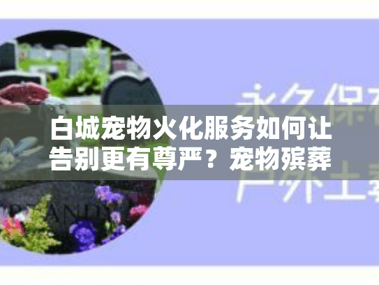 白城宠物火化服务如何让告别更有尊严？宠物殡葬全流程指南