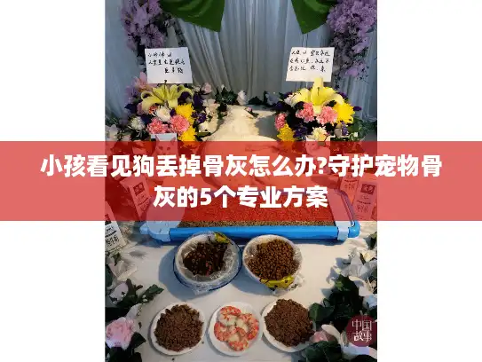 小孩看见狗丢掉骨灰怎么办?守护宠物骨灰的5个专业方案