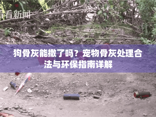 狗骨灰能撒了吗？宠物骨灰处理合法与环保指南详解