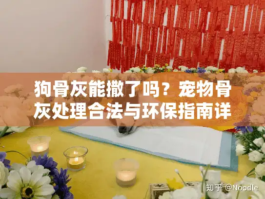 狗骨灰能撒了吗？宠物骨灰处理合法与环保指南详解