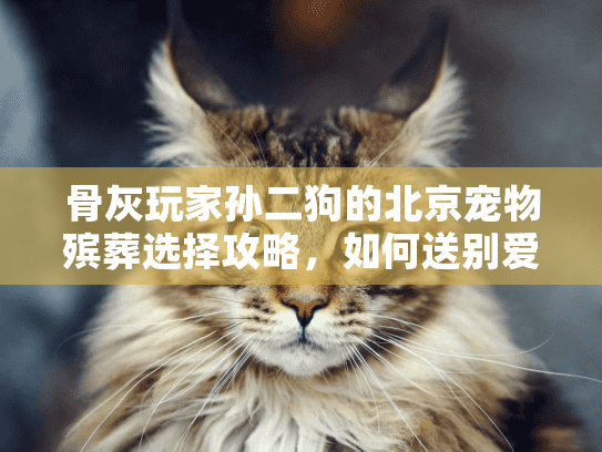 骨灰玩家孙二狗的北京宠物殡葬选择攻略，如何送别爱宠不留遗憾？