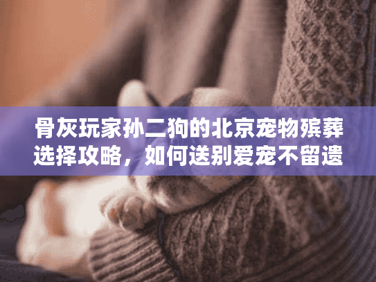 骨灰玩家孙二狗的北京宠物殡葬选择攻略，如何送别爱宠不留遗憾？