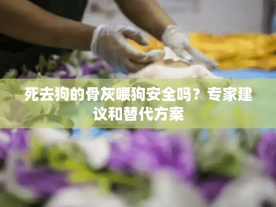 死去狗的骨灰喂狗安全吗?专家建议和替代方案 死去狗的骨灰喂狗安全吗?专家建议和替代方案