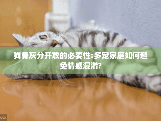 狗骨灰分开放的必要性:多宠家庭如何避免情感混淆?