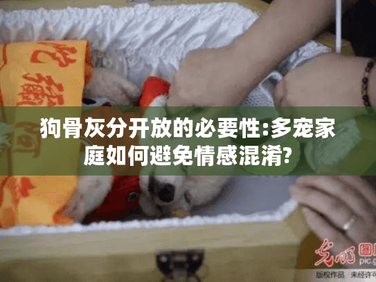 狗骨灰分开放的必要性:多宠家庭如何避免情感混淆?