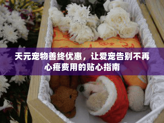 天元宠物善终优惠，让爱宠告别不再心疼费用的贴心指南