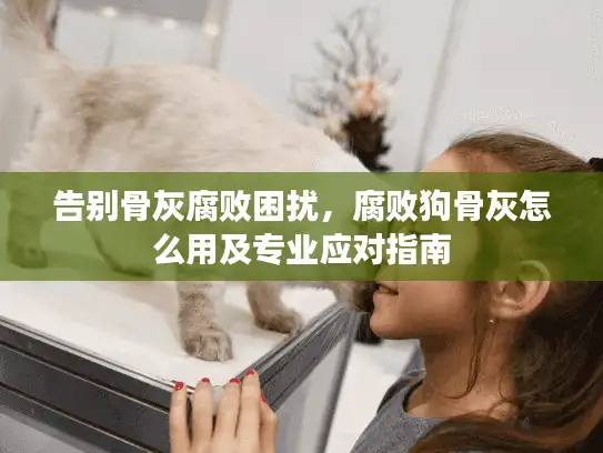 告别骨灰腐败困扰，腐败狗骨灰怎么用及专业应对指南
