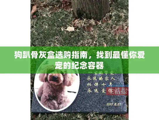 狗趴骨灰盒选购指南，找到最懂你爱宠的纪念容器