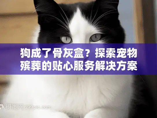 狗成了骨灰盒？探索宠物殡葬的贴心服务解决方案