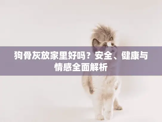 狗骨灰放家里好吗？安全、健康与情感全面解析