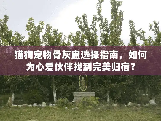 猫狗宠物骨灰盅选择指南，如何为心爱伙伴找到完美归宿？