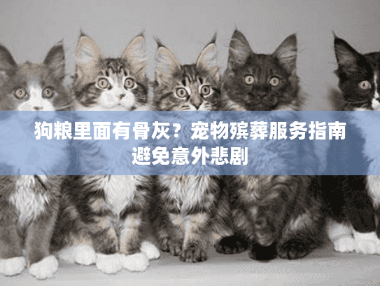 狗粮里面有骨灰？宠物殡葬服务指南避免意外悲剧