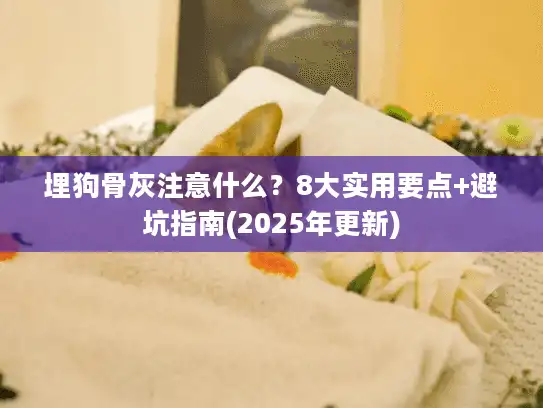 埋狗骨灰注意什么？8大实用要点+避坑指南(2025年更新)