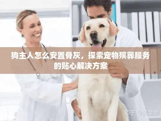 狗主人怎么安置骨灰，探索宠物殡葬服务的贴心解决方案