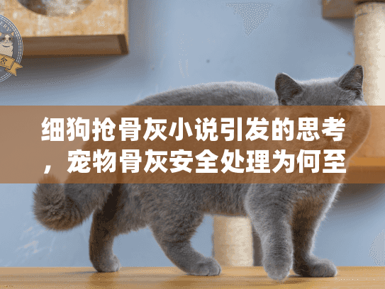 细狗抢骨灰小说引发的思考，宠物骨灰安全处理为何至关重要？