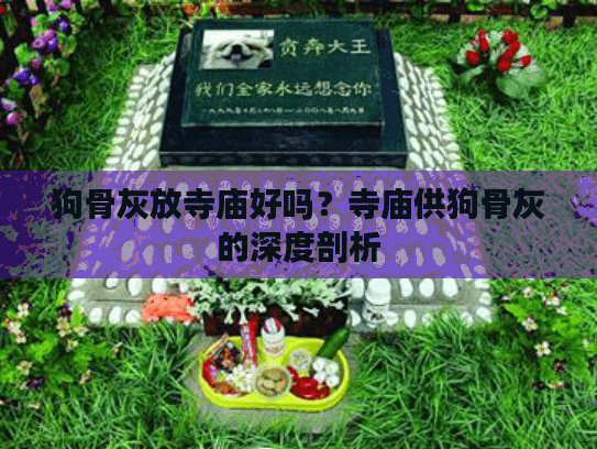 狗骨灰放寺庙好吗？寺庙供狗骨灰的深度剖析