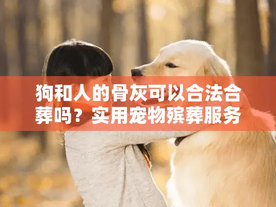 狗和人的骨灰可以合法合葬吗？实用宠物殡葬服务指南解析