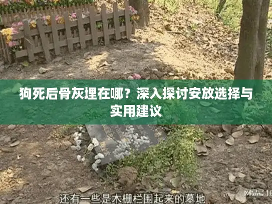 狗死后骨灰埋在哪？深入探讨安放选择与实用建议