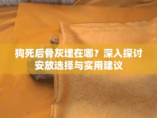 狗死后骨灰埋在哪？深入探讨安放选择与实用建议