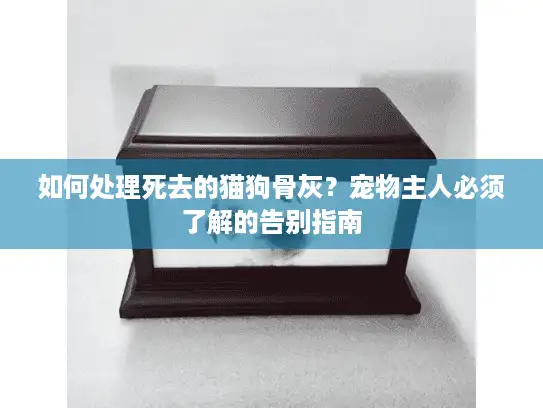 如何处理死去的猫狗骨灰？宠物主人必须了解的告别指南