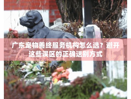 广东宠物善终服务机构怎么选？避开这些误区的正确送别方式
