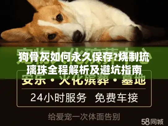 狗骨灰如何永久保存?烧制琉璃珠全程解析及避坑指南