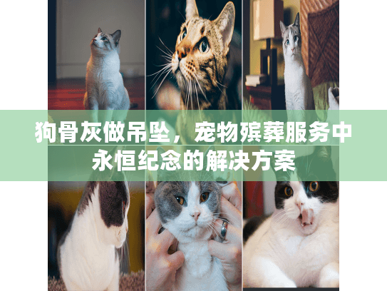 狗骨灰做吊坠,宠物殡葬服务中永恒纪念的解决方案 狗骨灰做吊坠,宠物殡葬服务中永恒纪念的解决方案