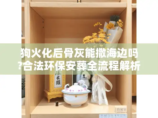 狗火化后骨灰能撒海边吗?合法环保安葬全流程解析 狗火化后骨灰能撒海边吗?合法环保安葬全流程解析