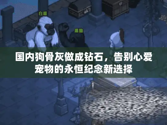 国内狗骨灰做成钻石，告别心爱宠物的永恒纪念新选择