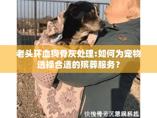 老头环血狗骨灰处理:如何为宠物选择合适的殡葬服务? 老头环血狗骨灰处理:如何为宠物选择合适的殡葬服务?