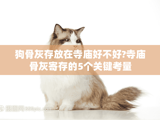 狗骨灰存放在寺庙好不好?寺庙骨灰寄存的5个关键考量