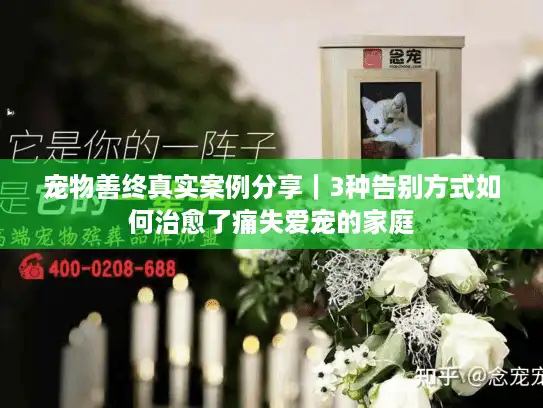 宠物善终真实案例分享｜3种告别方式如何治愈了痛失爱宠的家庭
