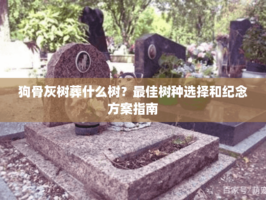 狗骨灰树葬什么树？最佳树种选择和纪念方案指南